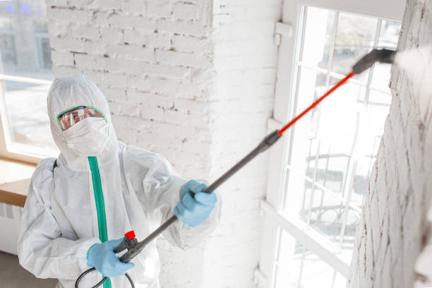 Professional Mold Removal in Valley Cottage, NY